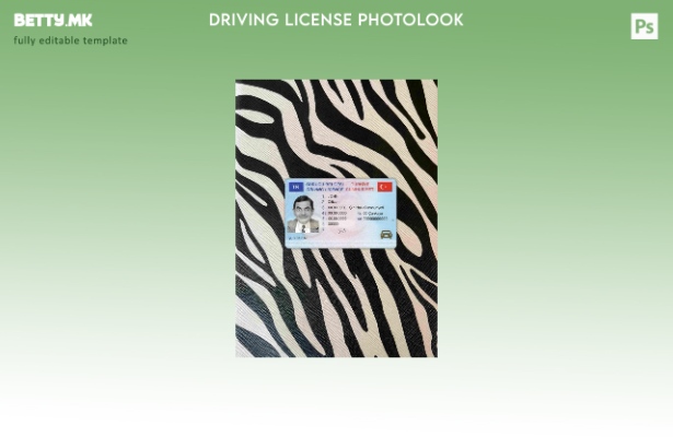 Модерен стил Турција возачка дозвола photolook ПРЕДЕН шаблон